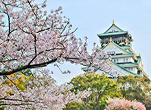 MK体育官方入口-阿根廷联赛腰斩：博卡夺阿超冠军 前6参加解放者杯